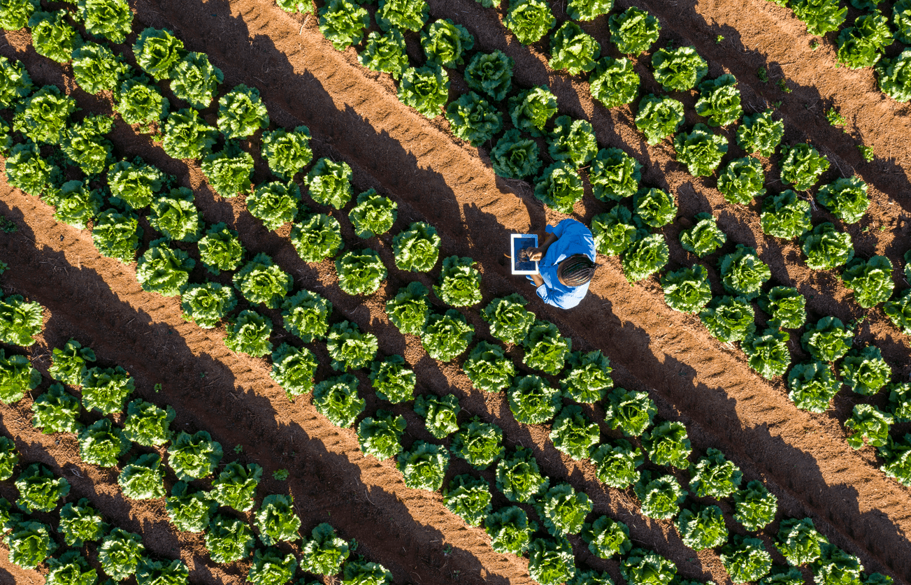 EY Law Newsflash 28 10 2025