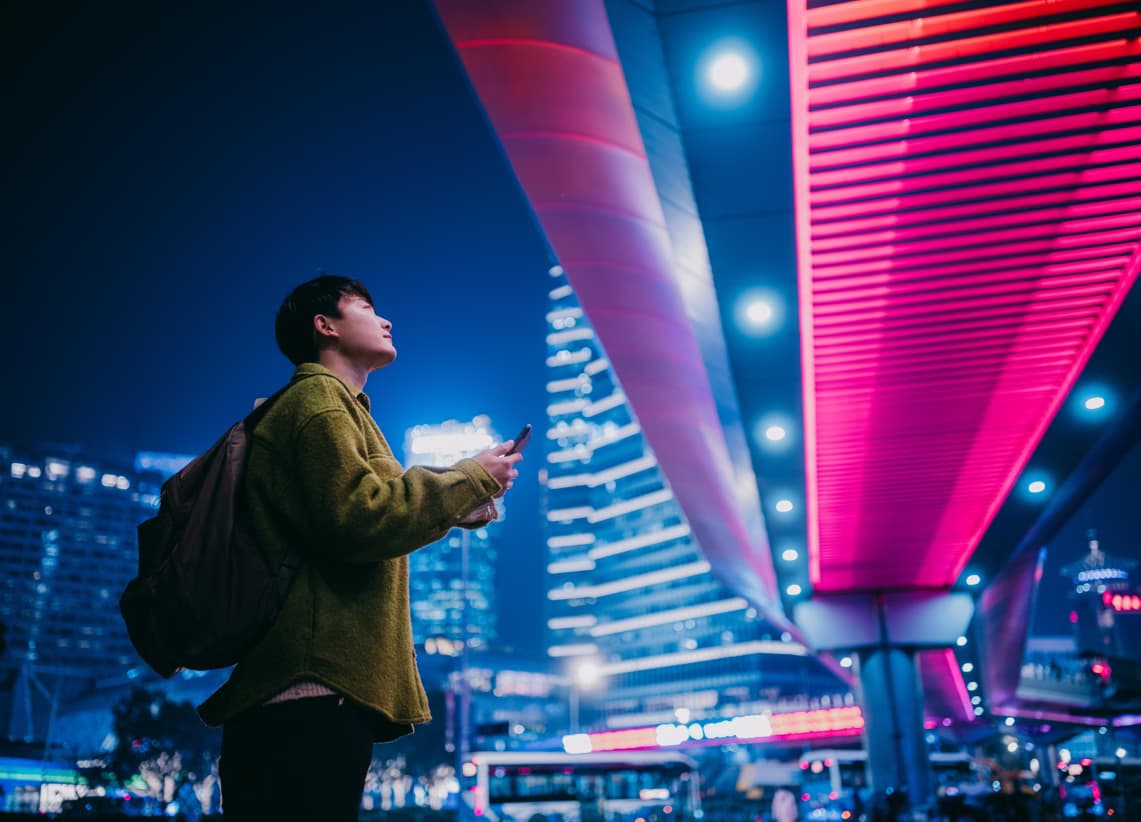 FDI Expertise Page EY Law